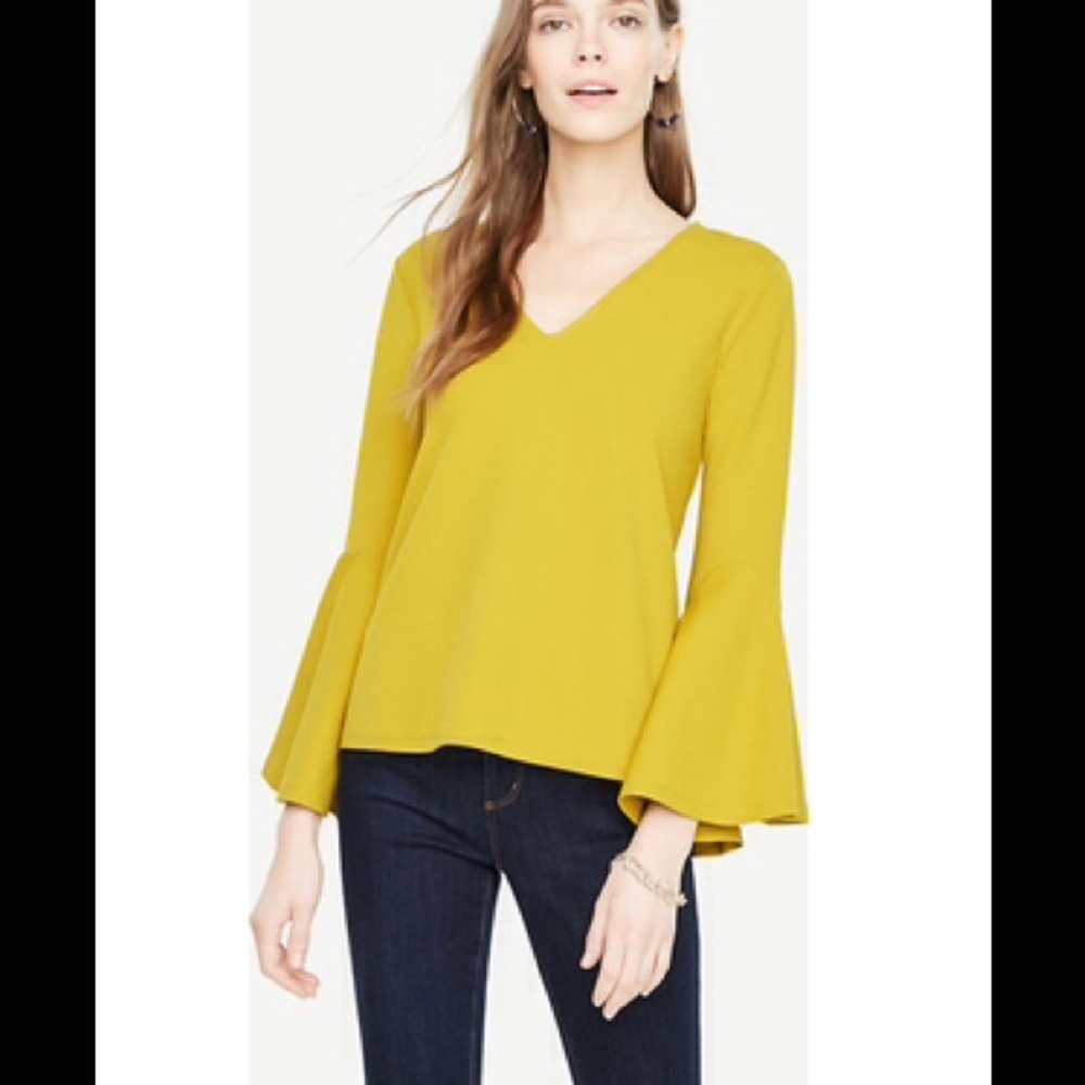 bell sleeve top